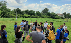 nms5_250x154_crop_478b24840a