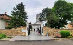 nms7_250x154_crop_478b24840a