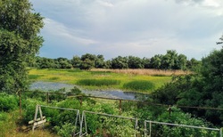 img-20210612-171551_250x154_crop_478b24840a