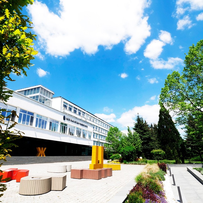 96822959-315170589466817-490881308432531456-n_700x700_crop_478b24840a