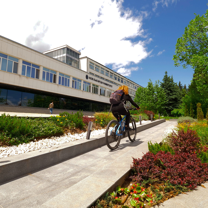 2244523_700x700_crop_478b24840a