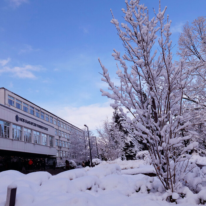 2455388_700x700_crop_478b24840a